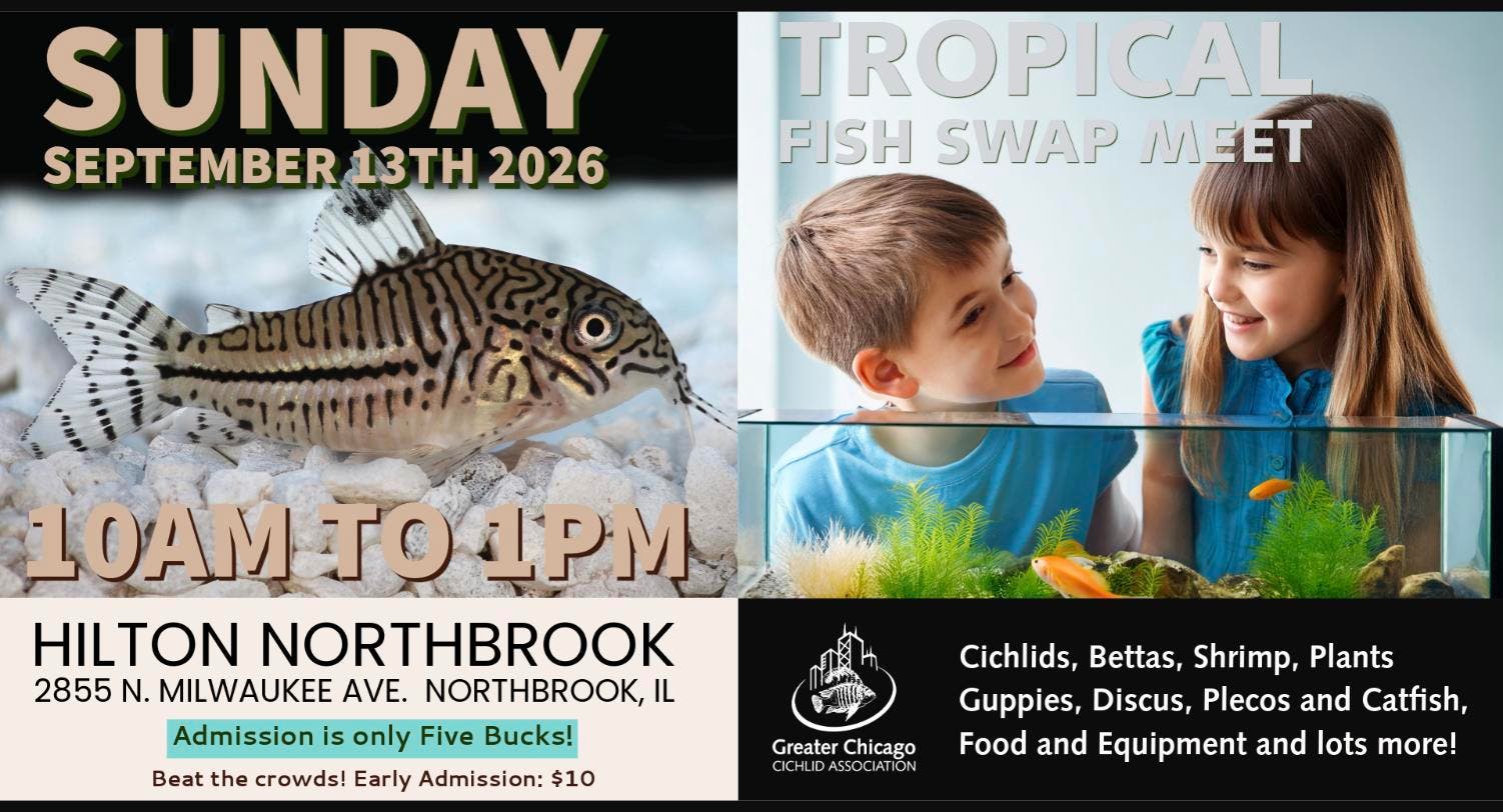 Tropical Fish Swap Meet — 100+ Tables and Thousands of Fish!