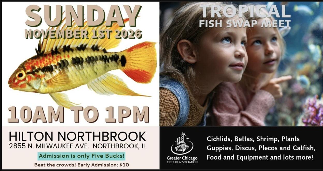 Tropical Fish Swap Meet — 100+ Tables and Thousands of Fish!