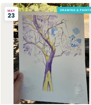 Drawing Trees in Mixed Media: A Day at Jack London Park