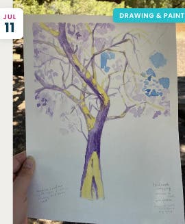 Plein Air Tree Drawing in Mixed Media at Jack London State Park
