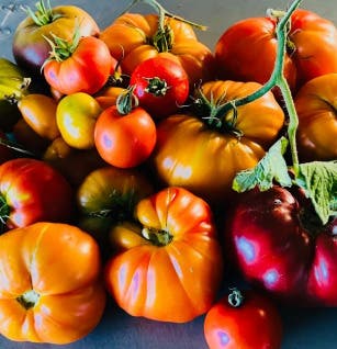 Creative Seasonal Cooking with Erin Shallat
