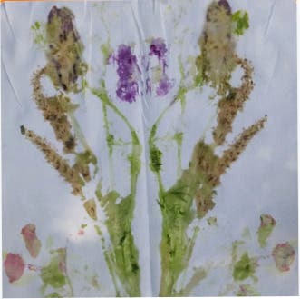 Crushing It: Botanical Impressions on Fabric