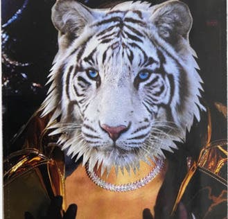 SoulCollage: Art of the Imaginal Soul