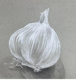 Developing Your Drawing Eye