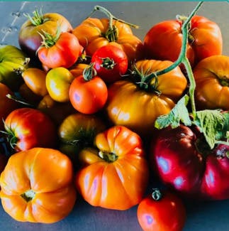 Healthy Hearty Meal Prep with Erin Shallat