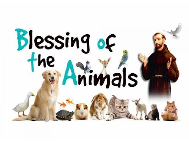Blessing of the Animals, Feast of Saint Francis