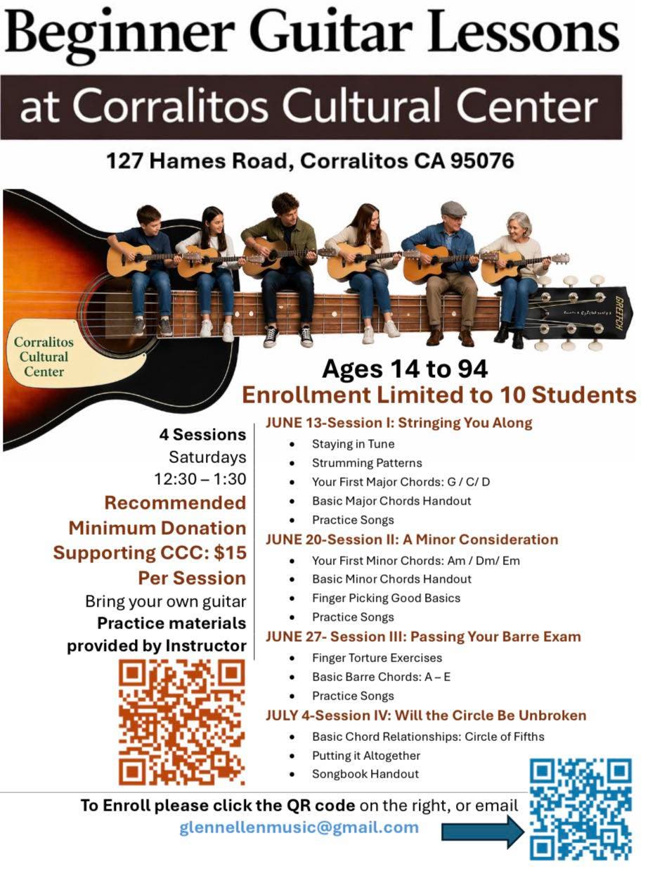 Beginner Guitar Lessons