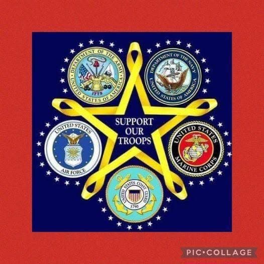 Blue Star Moms Houston Area Chapter TX2