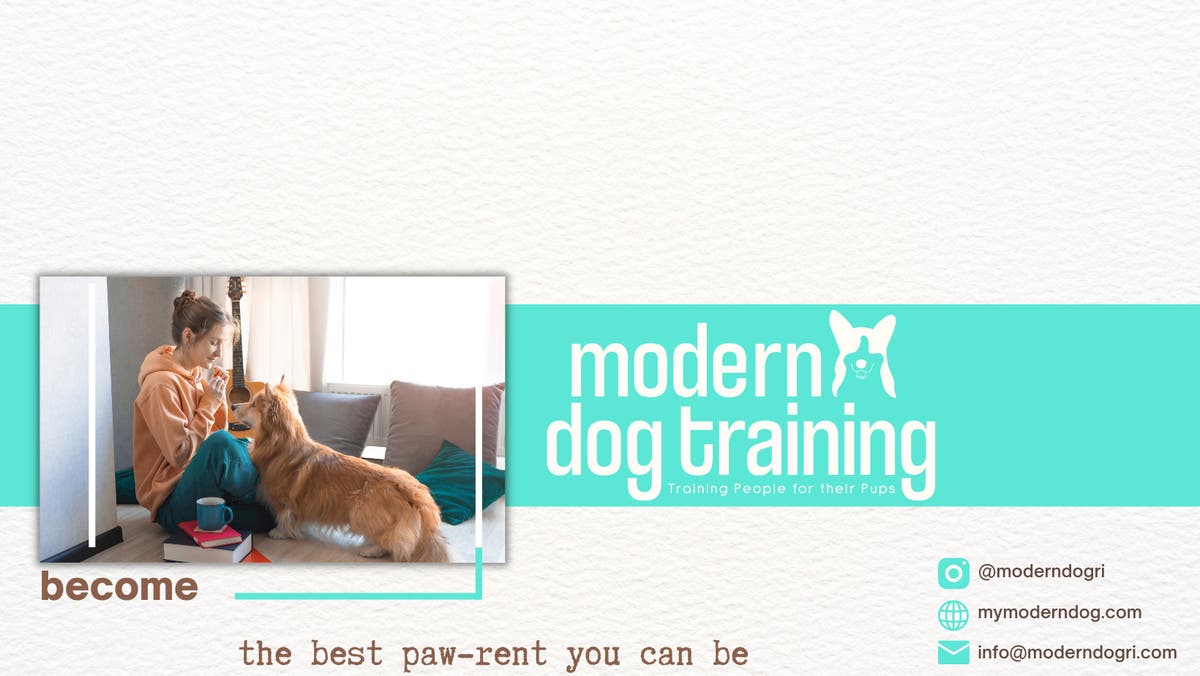 Modern Dog Training