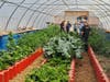 Riverbed Ranch founder, Philip Gleason, shows off his very productive greenhouse