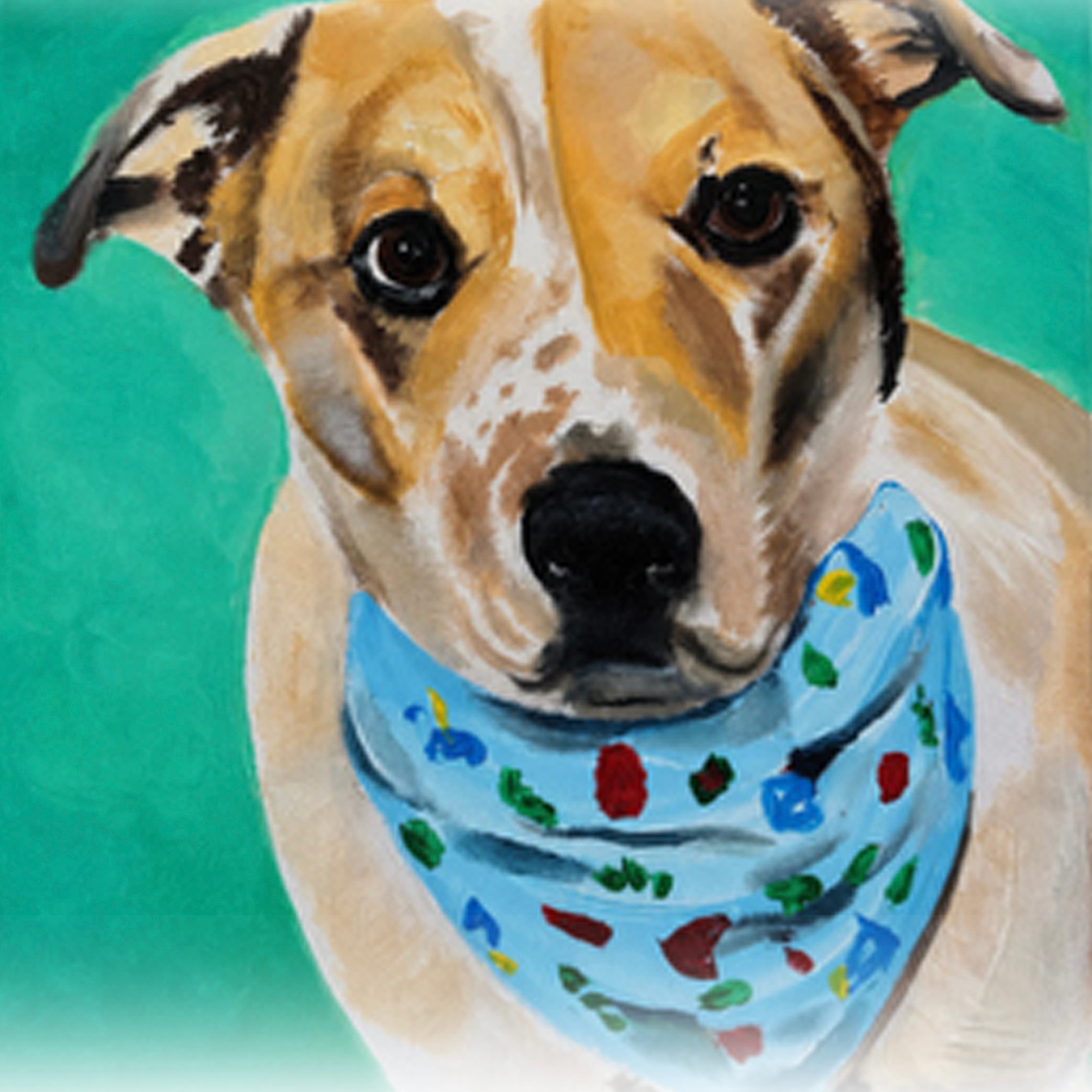 Pet Portrait