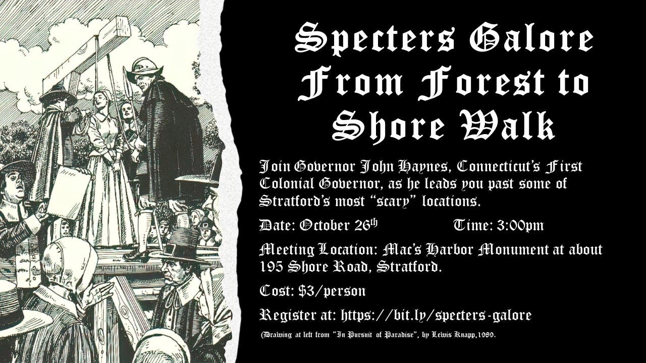 Specters Galore from Forest to Shore Walk