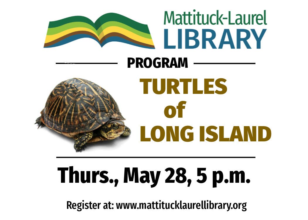 Turtles of Long Island