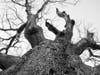 Asnuntuck Community College student Sarah Martin's photography is featured as part of the College's online art exhibit.