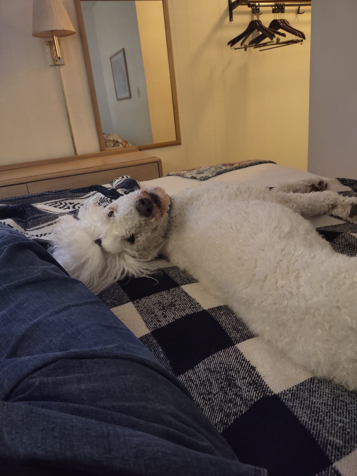Heads and Tails Grooming Salon 