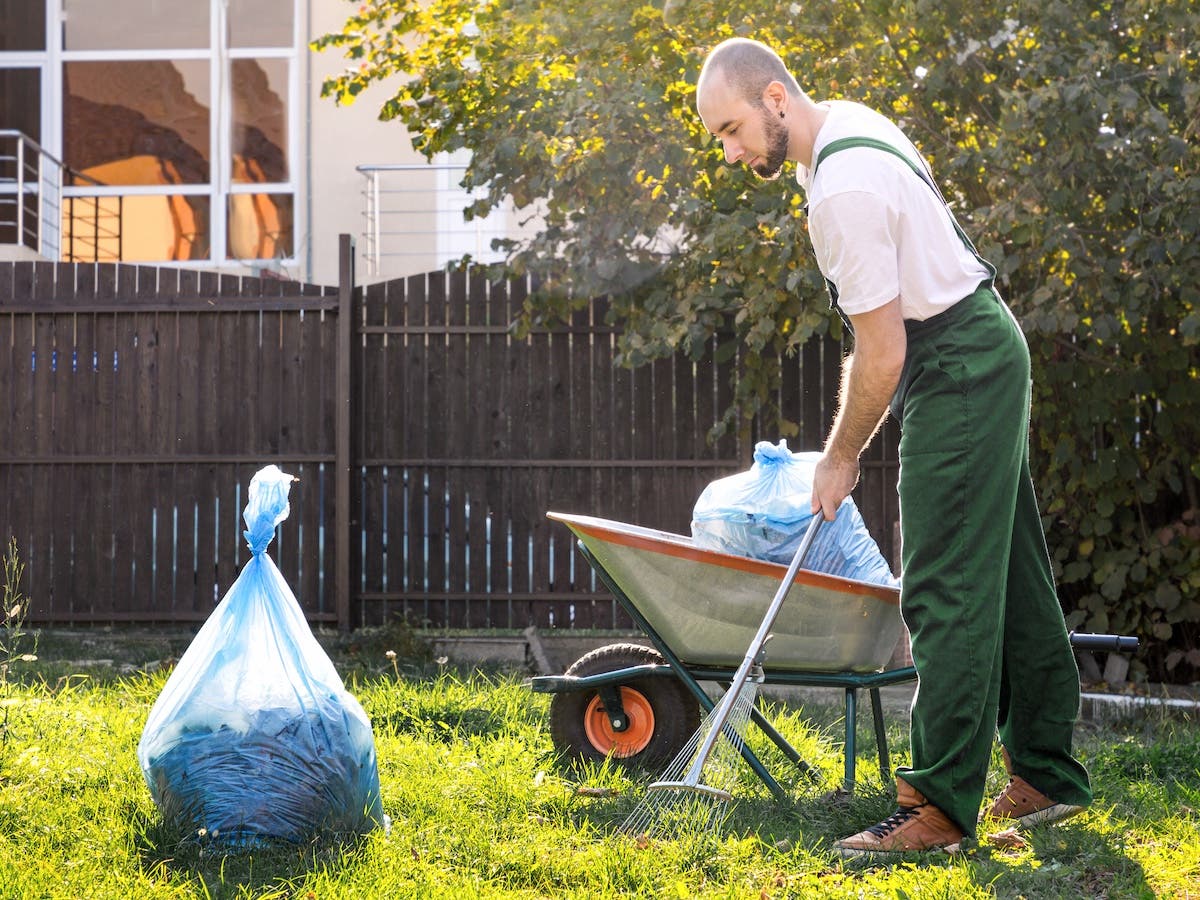 Jun 19 Hire A Pro To Clean Up The Yard For Dad Phoenix AZ Patch