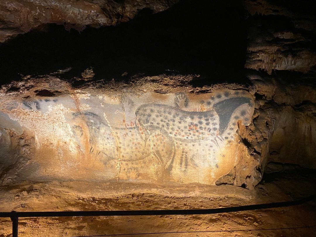 Ice Age Science - Wisdom from the Walls of Wizards