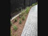 Attractive plantings and stamped concrete adorn the path. 