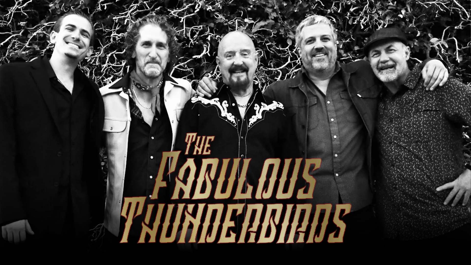 The Fabulous Thunderbirds