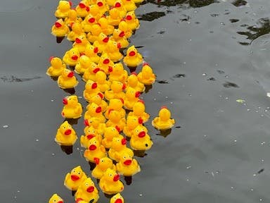 Second Annual Rubber Duck Derby