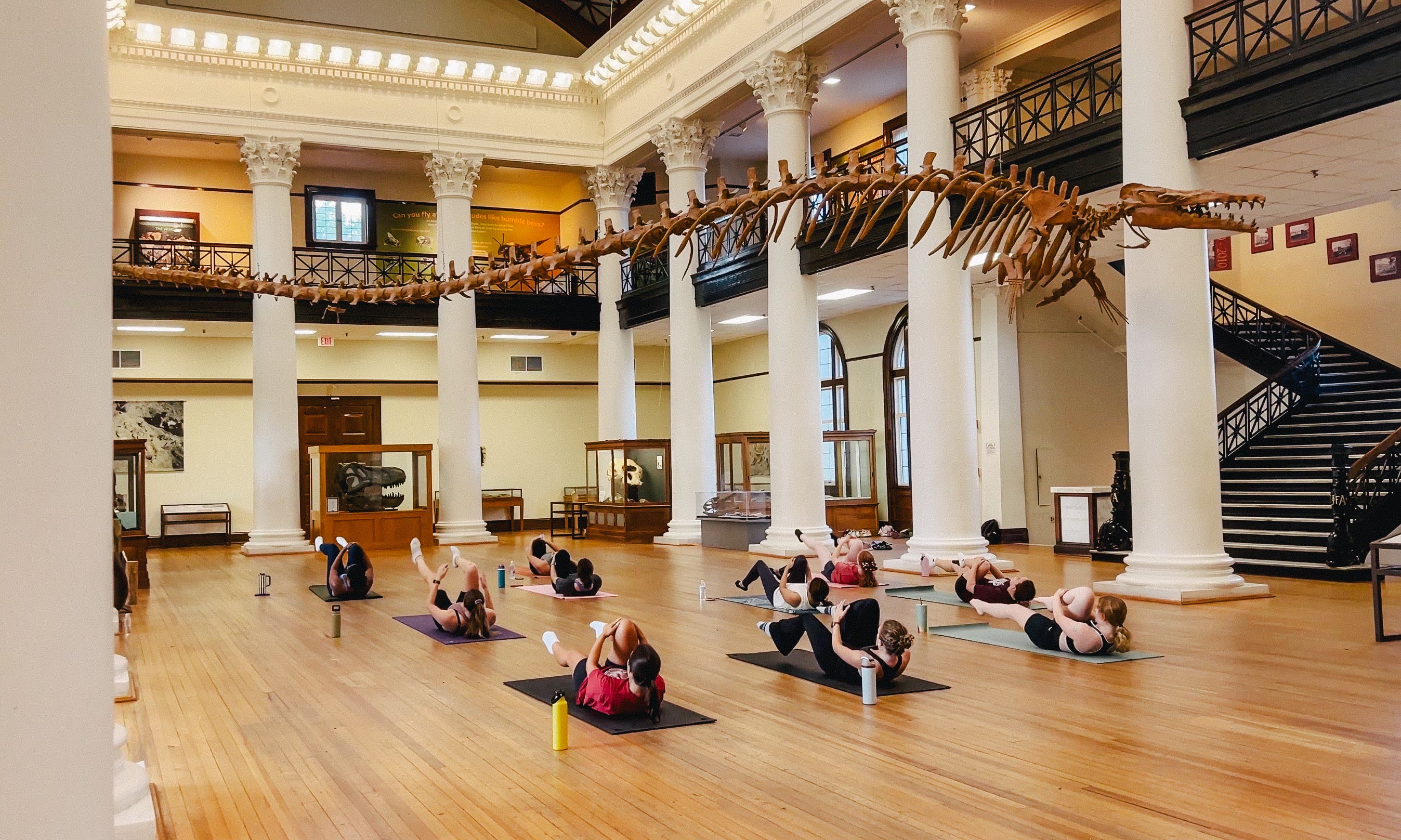 Movement in the Museum: Paranormal-ish Pilates
