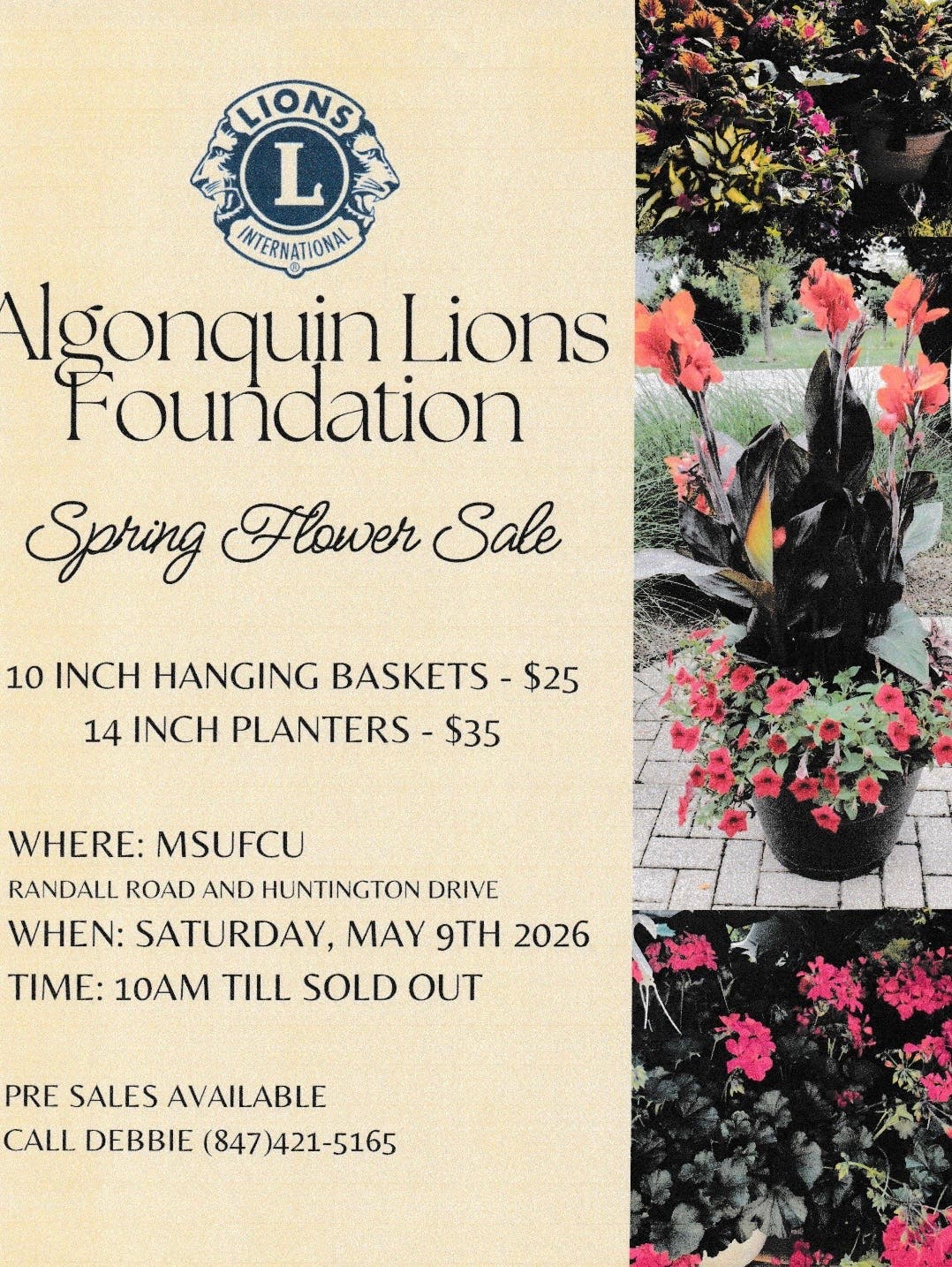 Spring Flower Sale