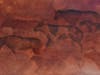 Study of Cave Painted Bison