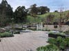 Garden Therapy at the George Mark Children's House