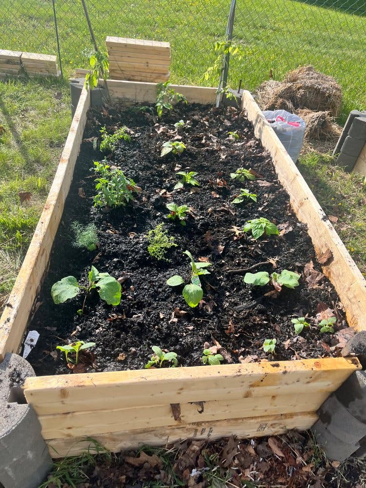 Community Garden Plots 