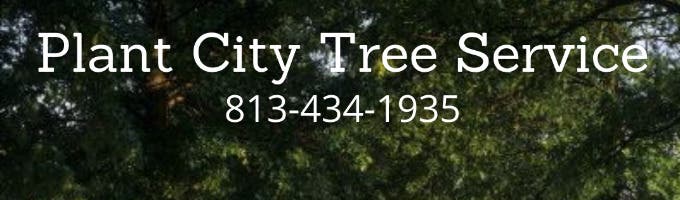 Plant City Tree Service - Brandon, FL Patch