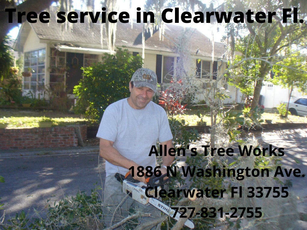 Allen's Tree Works