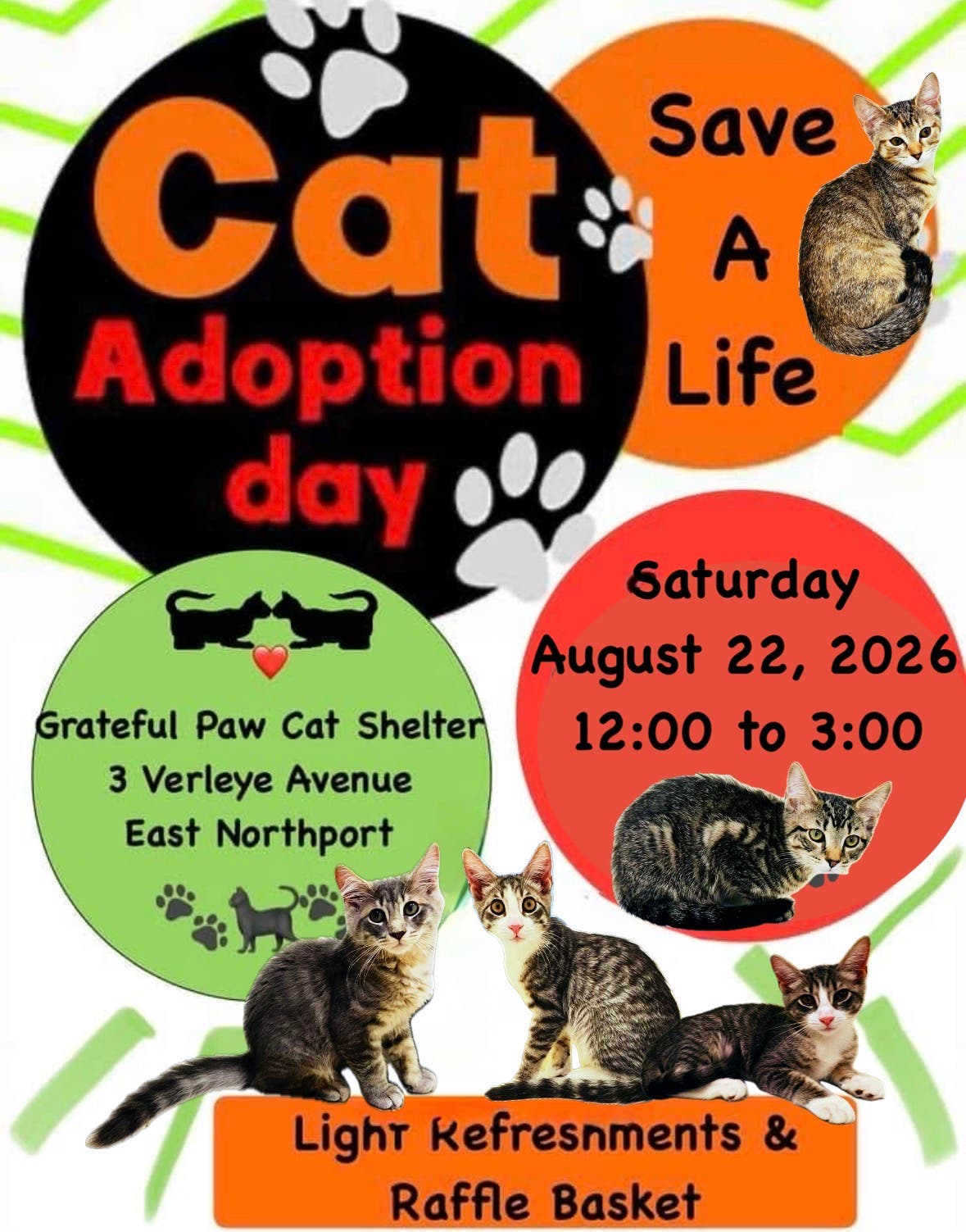 Cat Adoption Day