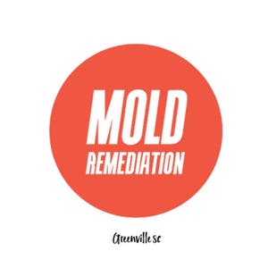 Greenville Mold Pros