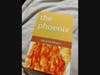 the phoenix is a compelling collection of poetry narrating the story of a twenty-something woman as she navigates her way through toxic relationships, mental health struggles, and ultimately finding healing.