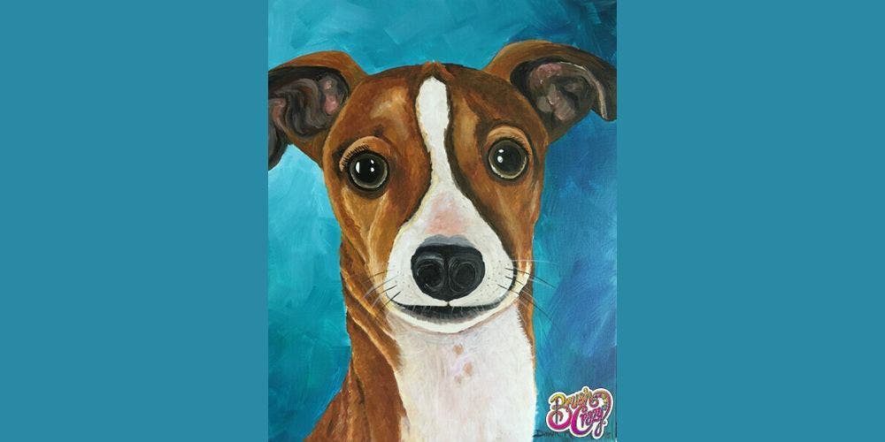 Paint Your Pet