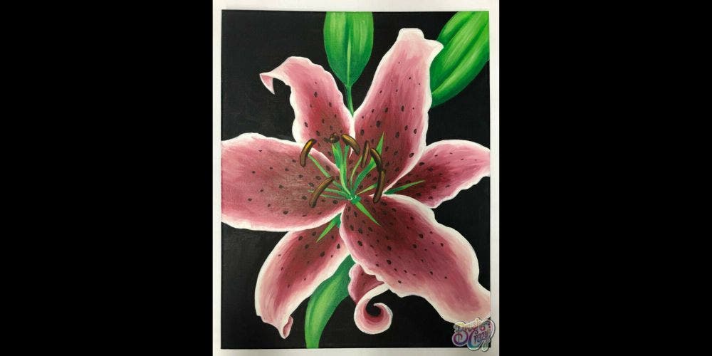 Stargazer Lily