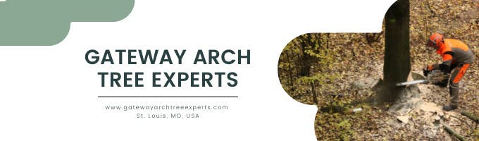 Gateway Arch Tree Experts