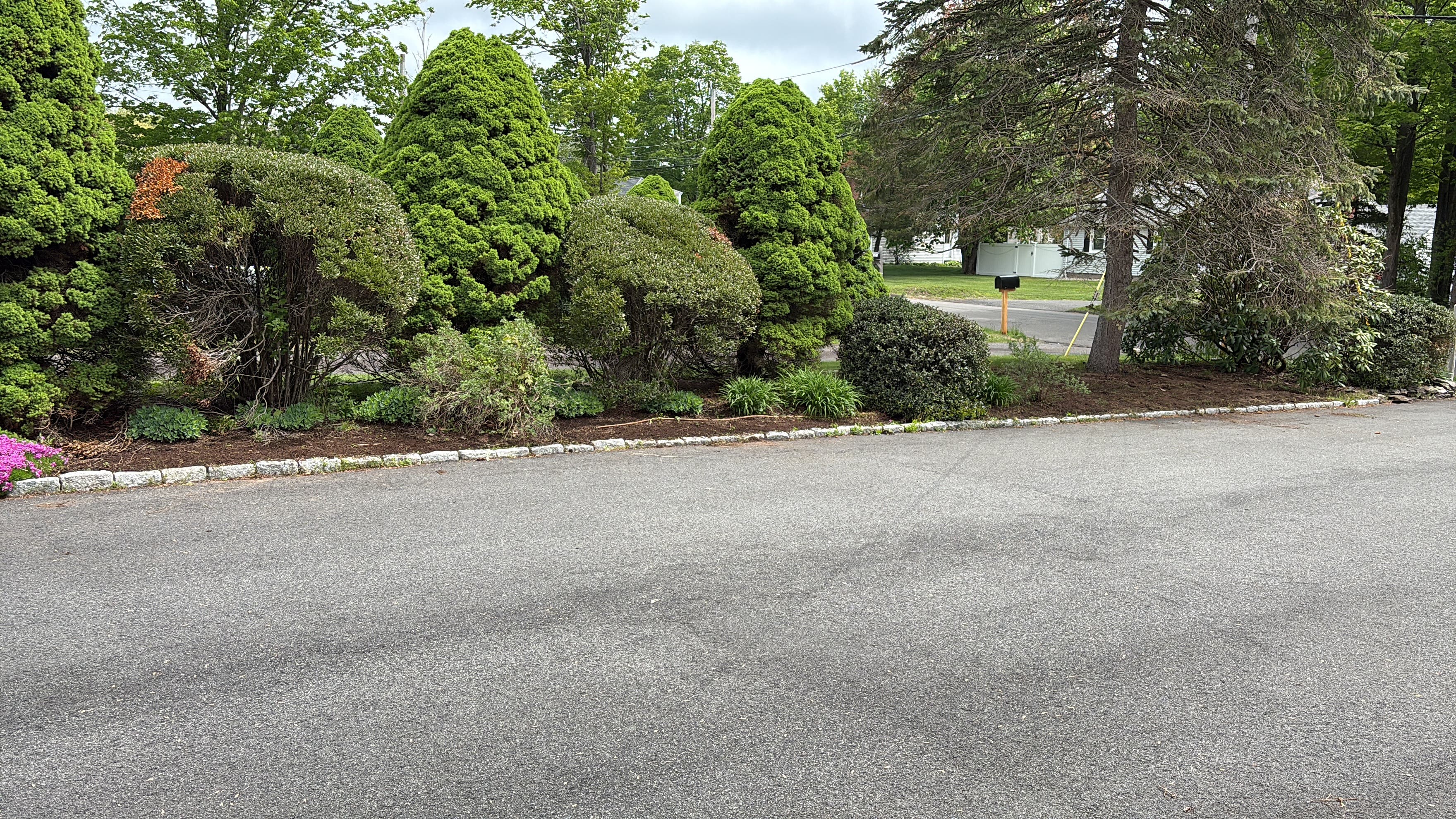 Will be taking new clients for Weeding and Mulching! Contact me at 203-313-5374 !