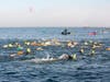 Swim Across America San Francisco, 2021. This year's swim is Saturday, September 24, 2022.