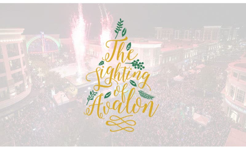 Nov 20 | The Lighting of Avalon | Alpharetta, GA Patch