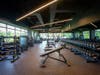 Weights