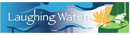 Chicago Pond Maintenance