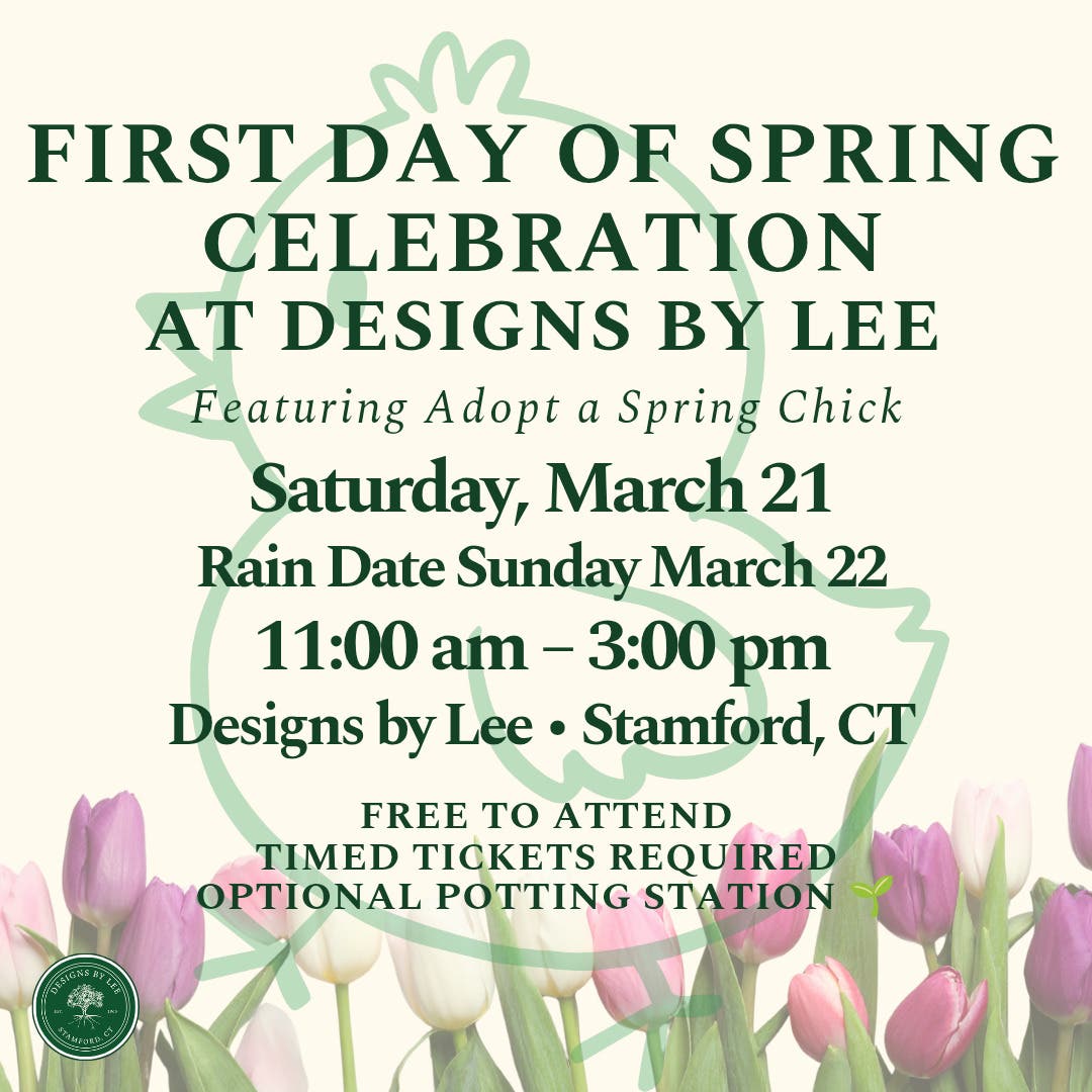 First Day Of Spring Celebration at Designs by Lee 