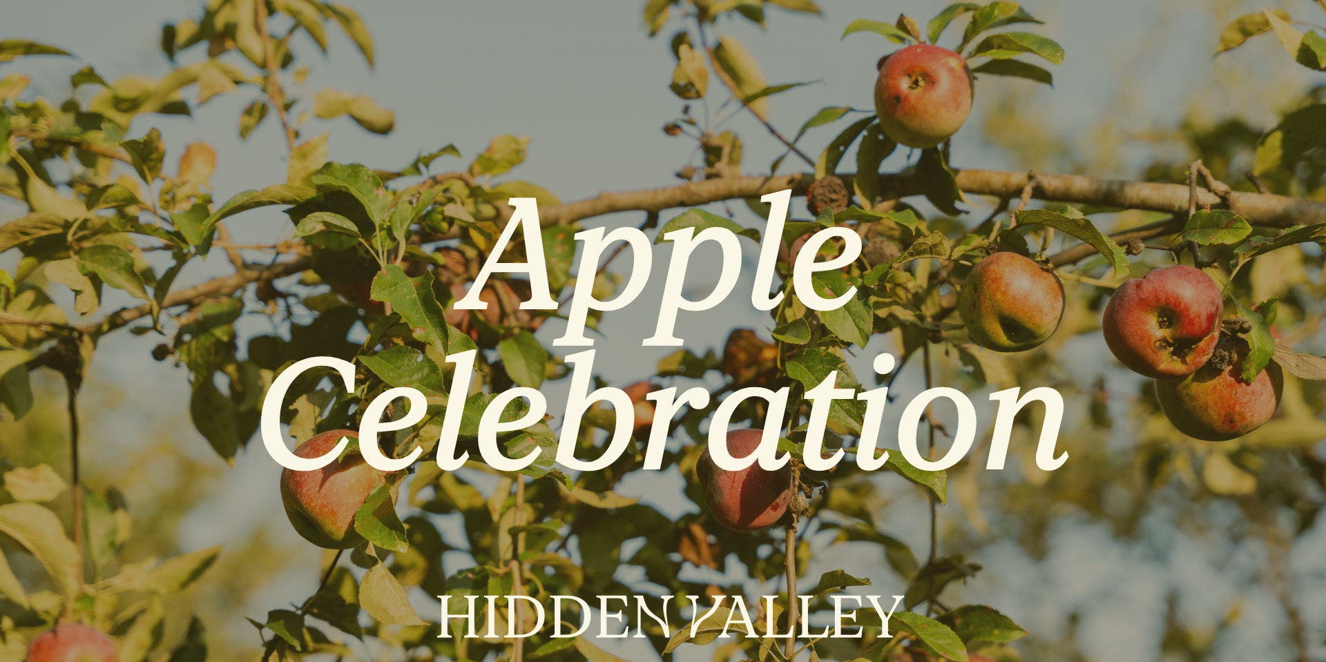 Apple Celebration