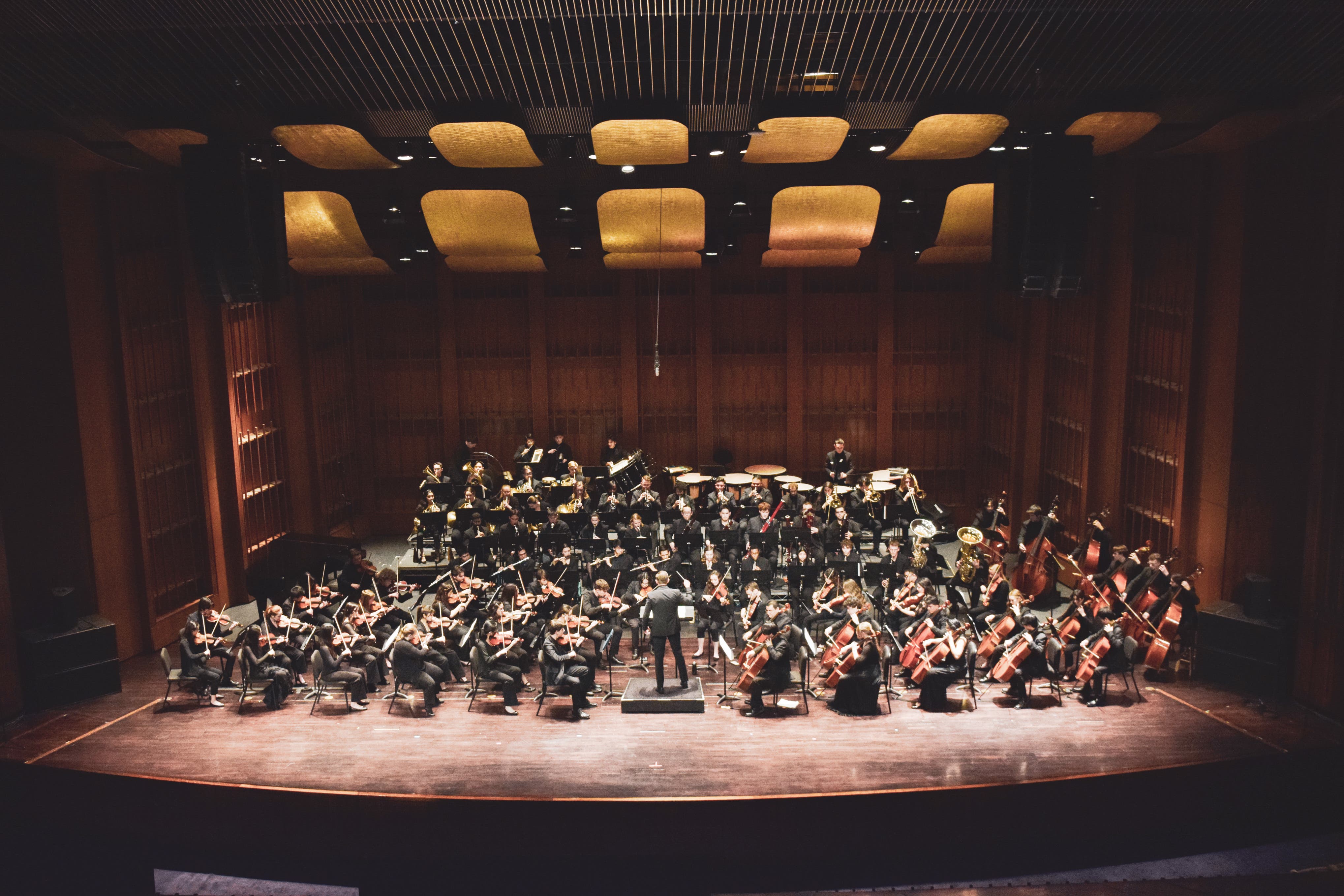 California Young Artists Symphony Presents Prokofiev and Elgar