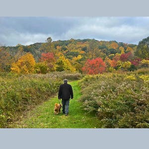 Take a Hike: Open Space Trails