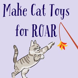 Teen Volunteer Opportunity: Make Cat Toys for ROAR