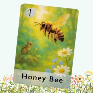 Animal Packs Card Game for Age 6+