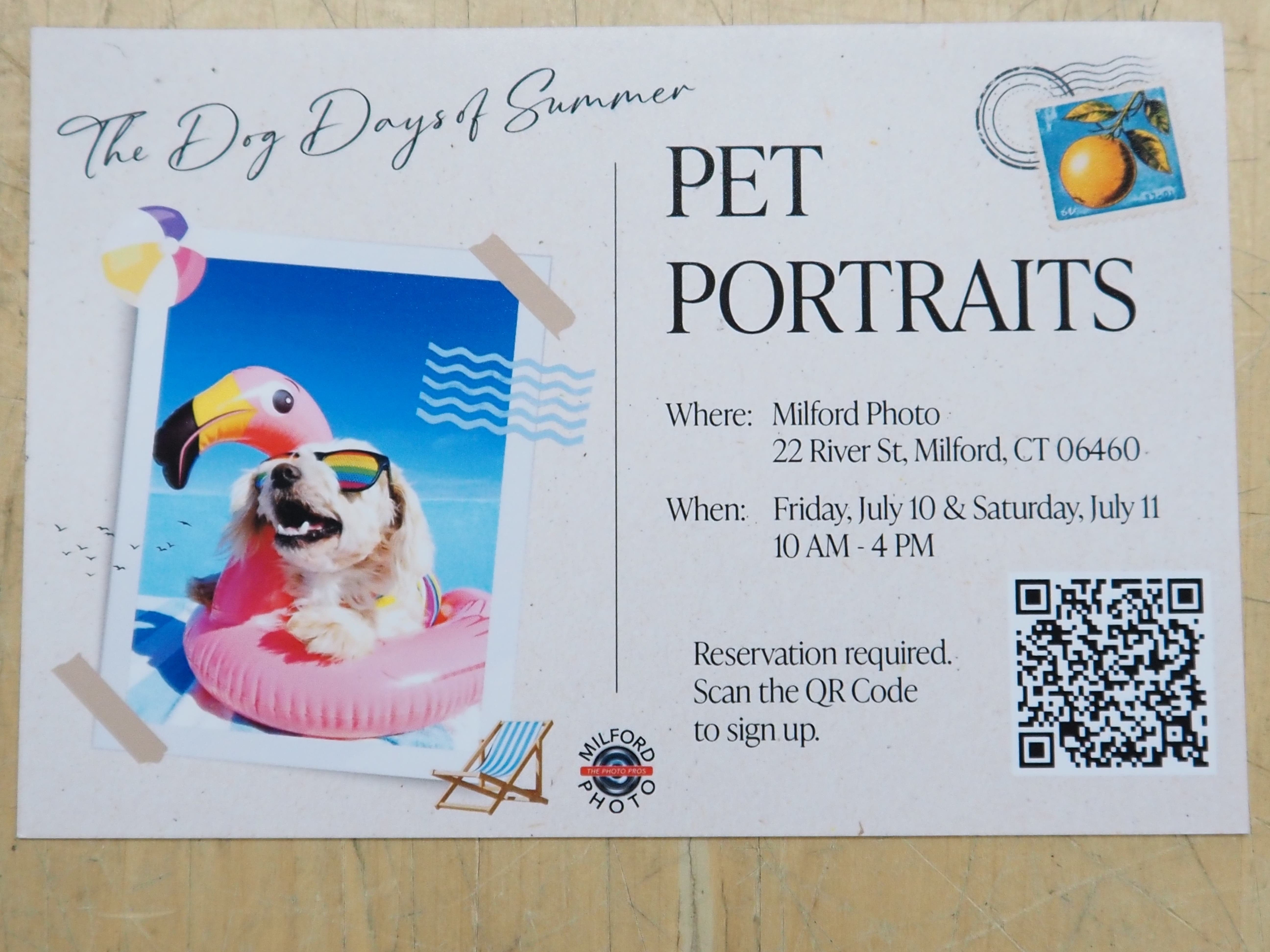 Pet Portaits are back!
