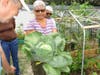 A community garden in South Florida receives insights from UF/IFAS Master Gardener Volunteers at UF/IFAS Extension Broward.